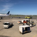 IMG_1053.jpeg