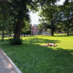 IMG_1059.jpeg