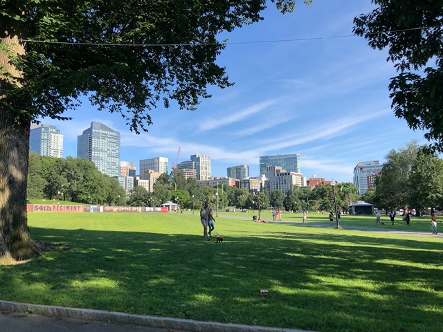 Part of the downtown, from the Common