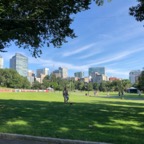 IMG_1063.jpeg
