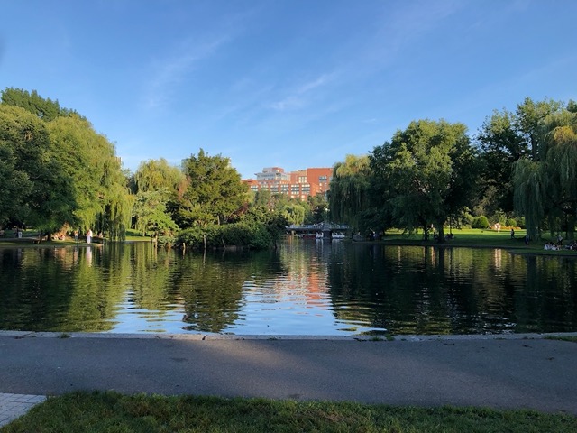 The pond