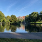 IMG_1079.jpeg