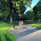 IMG_1080.jpeg