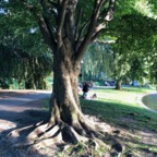 IMG_1082.jpeg