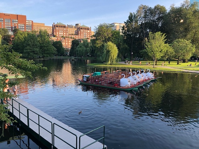 The swan boats!