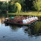 IMG_1084.jpeg