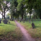 IMG_1087.jpeg