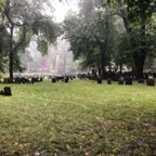 IMG_1101.jpeg