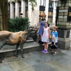 IMG_1108.jpeg