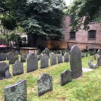 IMG_1111.jpeg