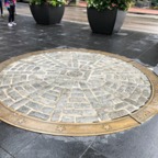 IMG_1120.jpeg