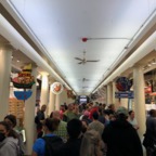 IMG_1124.jpeg