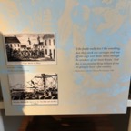 IMG_1131.jpeg