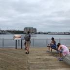 IMG_1163.jpeg