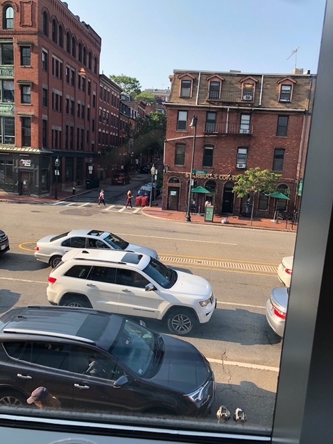 View from the upper floor of the bakery where we ate our pastries