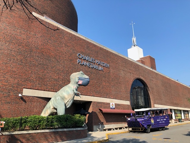 Front of the science museum, T Rex with mask!