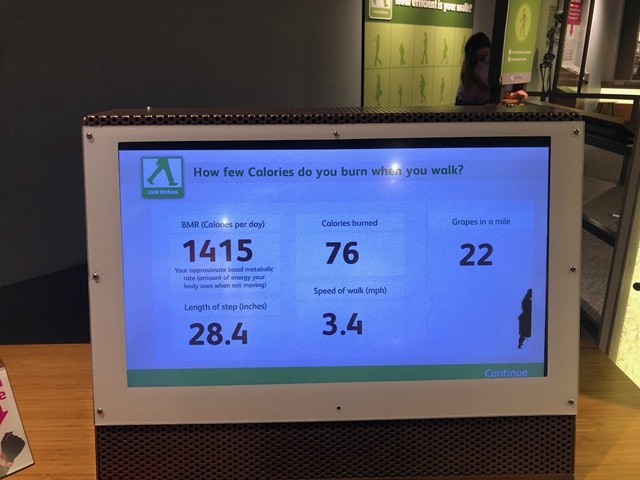 Stride analysis in the biometrics exhibit