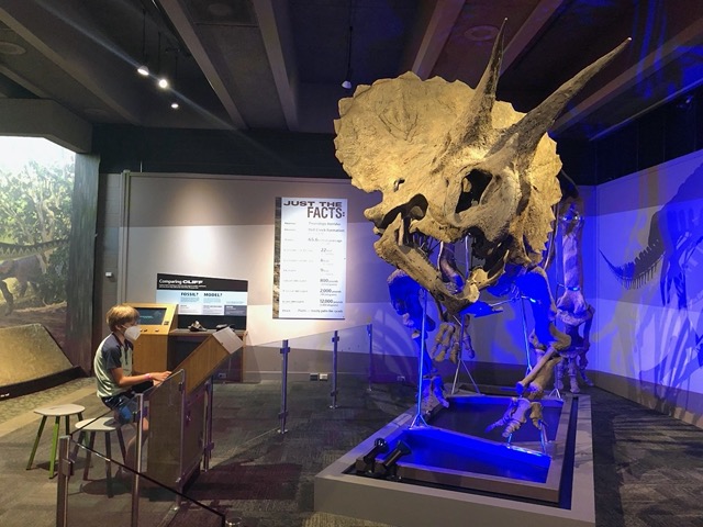 Owen in the dinosaur exhibit