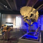 IMG_1193.jpeg