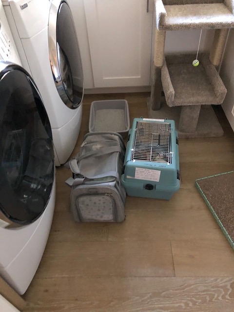 We took them into the laundry room