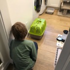 IMG_6591.jpeg