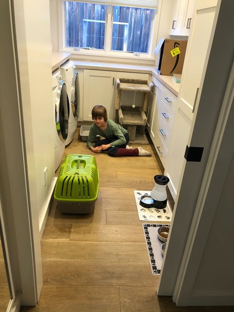 Owen peeking at the kitties