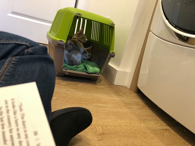 And sat in there with them, with a book