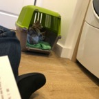 IMG_6598.jpeg