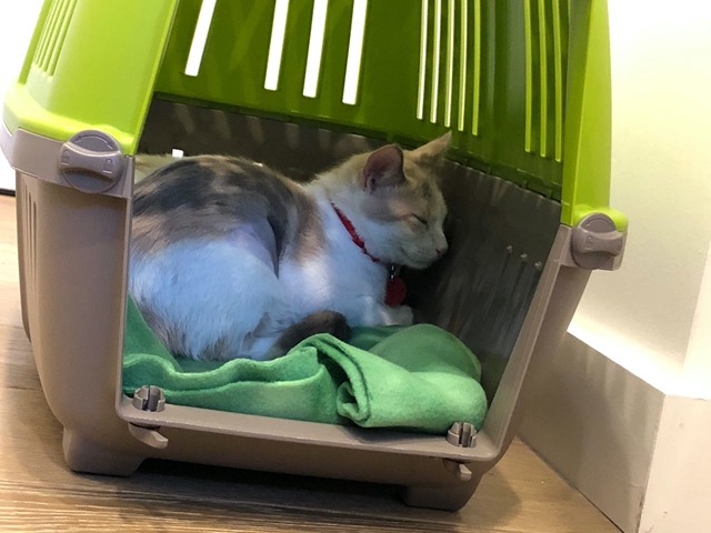 I just sat in there quietly, not paying attention to them