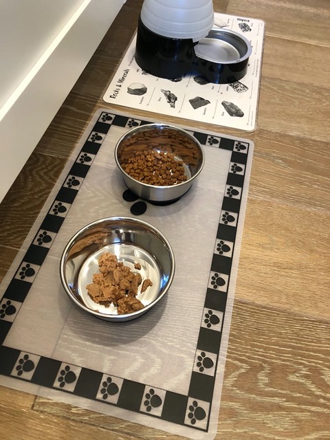 I set up their familiar foods and kept an eye on the levels