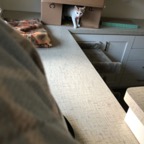IMG_6622.jpeg