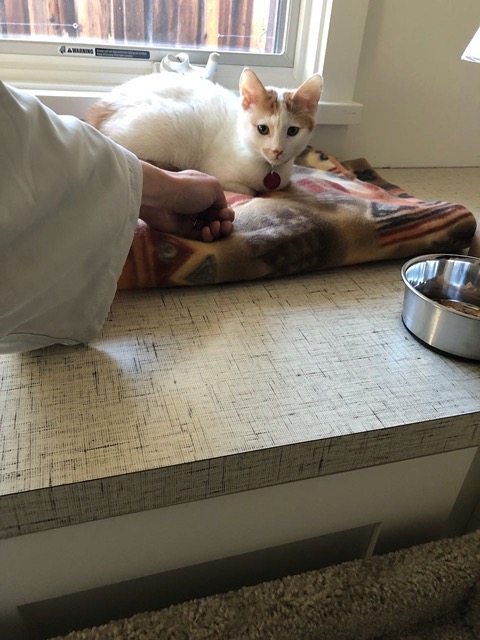 I got my hand close, and he didn't run away