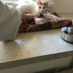 IMG_6633.jpeg