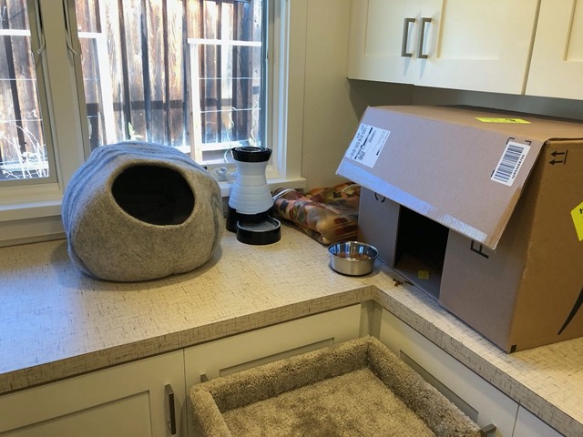 I got them a warm little nest made of felted wool