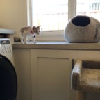 IMG_6653.jpeg