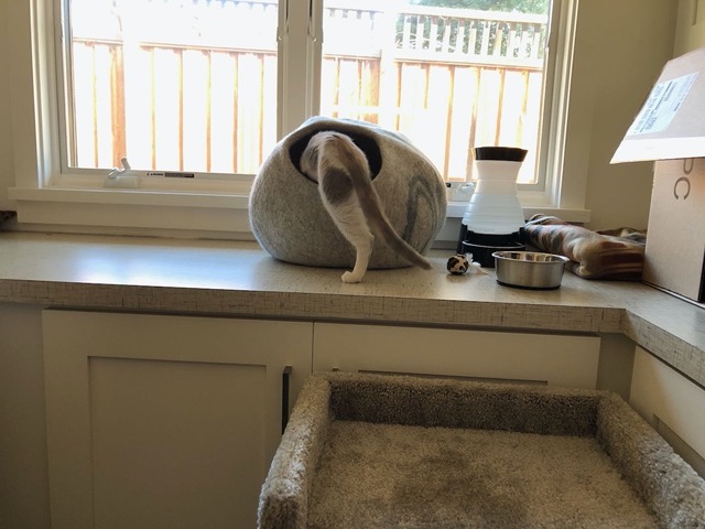 Discovering the felt nest!