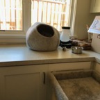 IMG_6661.jpeg
