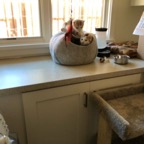 IMG_6681.jpeg