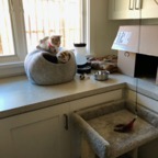 IMG_6683.jpeg