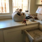 IMG_6684.jpeg
