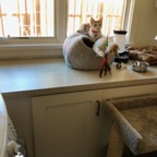 IMG_6685.jpeg