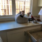 IMG_6689.jpeg