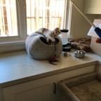 IMG_6692.jpeg