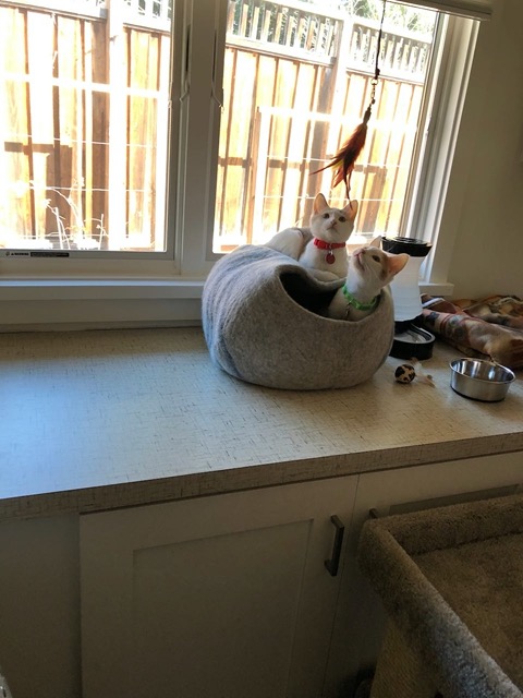 Up high!