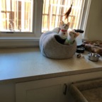 IMG_6694.jpeg