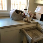 IMG_6700.jpeg