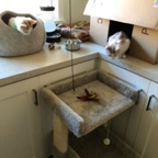 IMG_6707.jpeg
