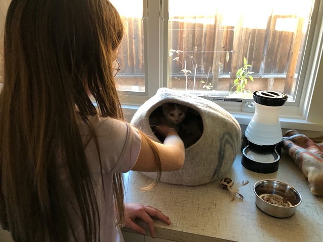 Ellie went in in the afternoon and just put her hand in the nest