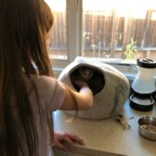 IMG_6708.jpeg