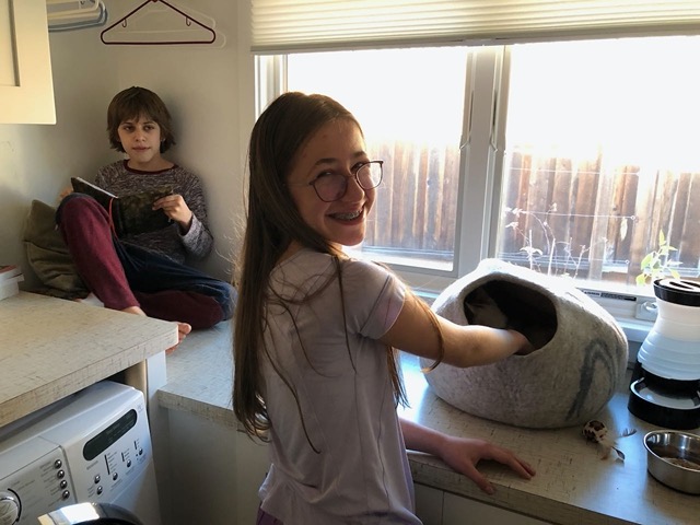 Ellie quietly petting the kittens while Owen reads nearby